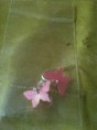 Pendientes finos de mariposas